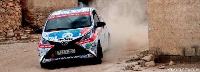 lorca_puzzlemotor_2016_2